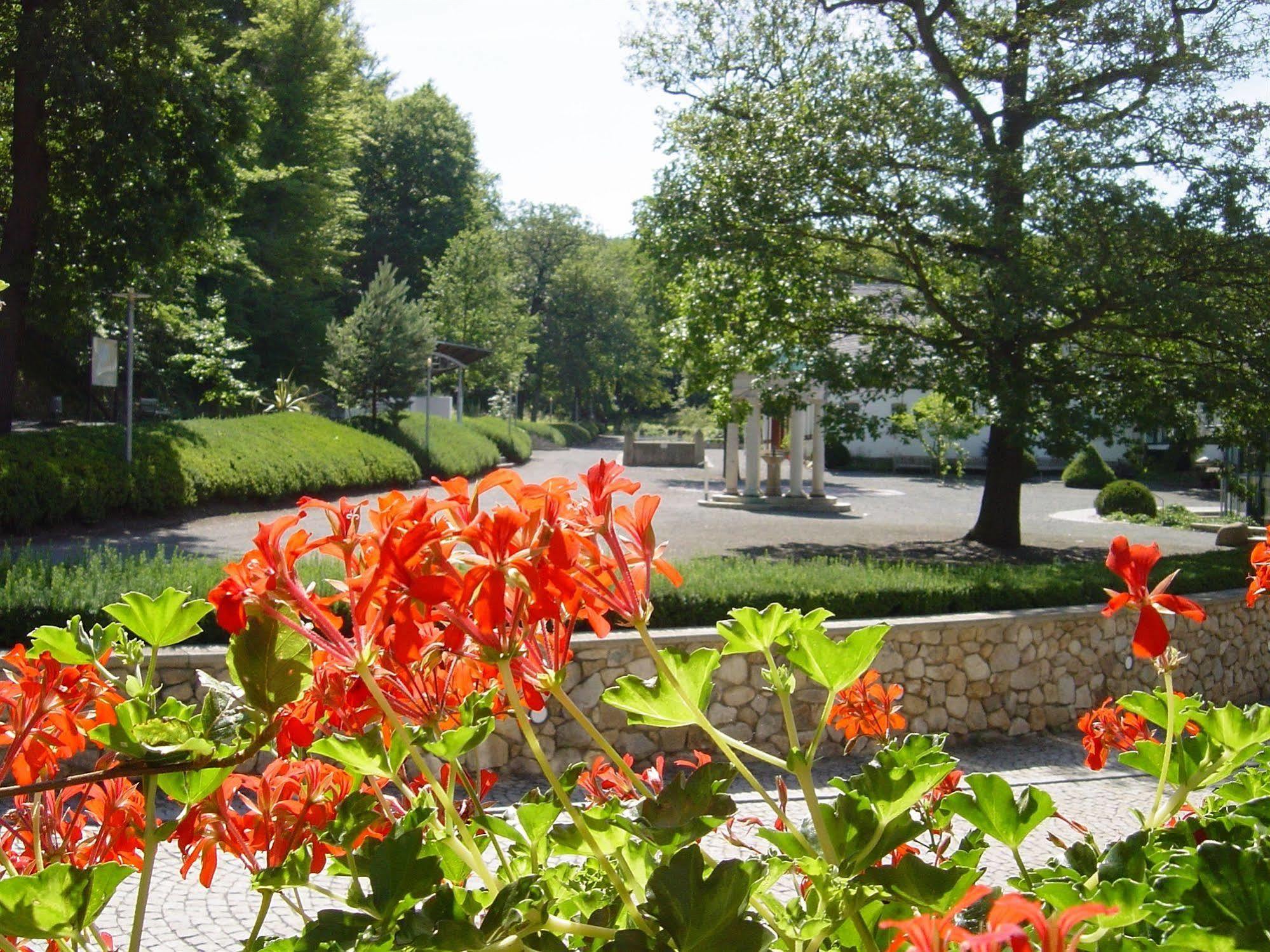 Kurhotel Bad Suderode Zewnętrze zdjęcie